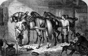 Artisan: The Farrier Making Horse Hooves. Engraving of the 19th Century