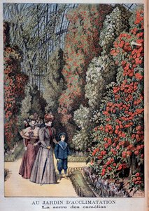 In the Garden of Acclimation: The Camellia Greenhouse - in 
