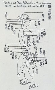 Chinese Acupuncture: the meridian of the three heaters