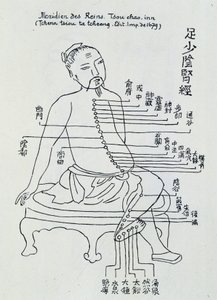 Chinese acupuncture: the meridian of the kidneys by Unknown artist