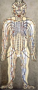 Chinese medicine. The currents of the body where to apply acupuncture. 19th century by Unknown artist