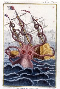 Colossal Octopus Attacking a Ship - Engraving from the Book by Pierre Denys-Montfort 