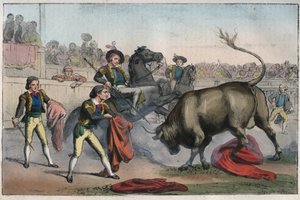 Bull Charging a Picador - Engraving from 
