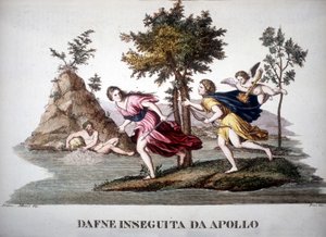 Daphne Pursued by Apollo - in Dizionario Mitologico