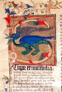 Dragon Decoree Lettrine (detail)