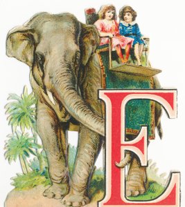 E: Elephant