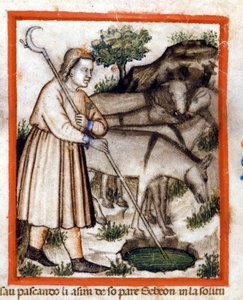 Esa Grazes Donkeys - the Pentateuch. Miniature from Codex 212 (or Padovano Codice or Bible of Padua) 1390-1400 Rovigo, Accademia dei Concordi