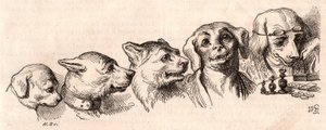 Evolution of a dog to a human form