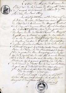 Extract from the Register of Birth of the State-Civil of the Municipality of Dommyrot, Certified Copy of February 2 by Unknown artist