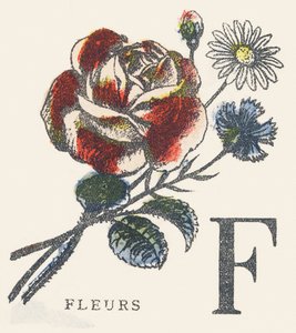 Flowers by Unknown artist