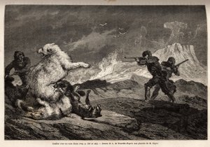 Fight with a polar bear protecting her baby, the pack of dogs assaults her and the hunters, rifle weapons, wait for the right time to shoot her. Engraving to illustrate the voyage to the free sea of the Arctic pole, by Doctor Hayes, surgeon of the United S