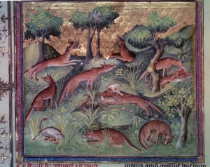 Fox hunting poultry by Unknown artist