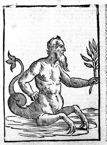 Glaucus with the Magic Grass That Will Allow Him to Live in the Sea - in Mythologiae Sive Explicationis Fabularum by Natalis Comes, Patavia by Unknown artist