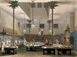 Grand Hotel: the kitchens of the Great Pavillon Hotel in Brighton. 1850