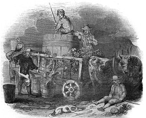 Harvester in Pola, Croatia in the 19th Century by Unknown artist