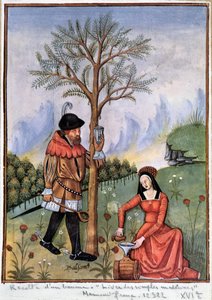 Harvesting a balm - Book of simple medicines