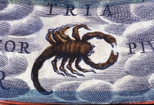 Horoscope: Sign of the Zodiac, the Scorpion