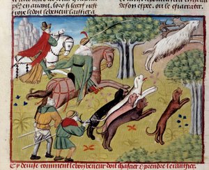 How to Hunt the Deer from 