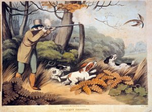 Hunting for Pheasants in England