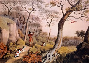 Hunting of Pheasants in England by Unknown artist