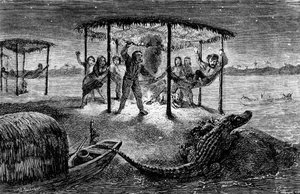 Illustration from 