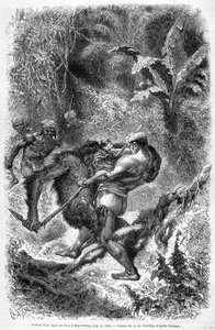 Illustration published in the 1862 edition of Le Tour du monde depicting a battle between a dayak and an orang outan (orang-utan, orang outang, orang-utang) on the island of Borneo. Engraving by Unknown artist