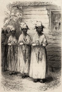 Indigenous Women of Guyana at the Catholic Procession of the Fete Dieu, Engraving to Illustrate the Voyage in French Guiana