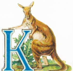 K: Kangaroo