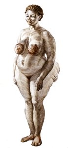 The Hottentot Venus, woman of Bochiman breed, engraving of 1815 by Unknown artist