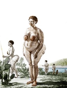 The Hottentot Venus, woman of the Bochiman breed, engraving of 1815.