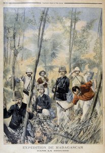 Madagascar Expedition: In the Bush - in 