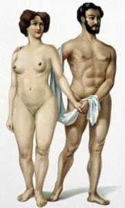 Man and woman - book of medicine, late 19th century by Unknown artist