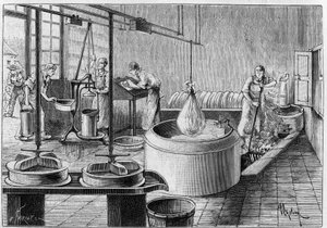 Manufacture of Gruyere: A Modern Cheese Factory