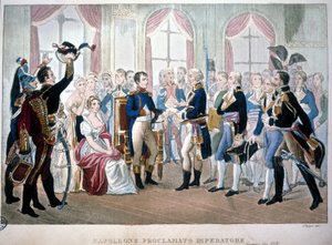 Napoleon Proclaimed Emperor in 1804 by Unknown artist