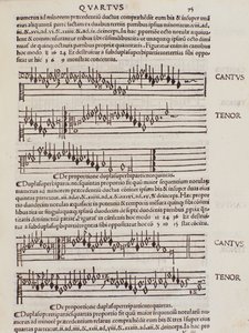 Page from Practica Musicae by Unknown artist