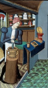 Pharmacy: An apothecary, the picking of plants and the preparation of medicaments (detail)