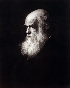 Portrait of Charles Robert Darwin (1809 - 1882) by Unknown artist