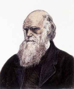 Portrait of Charles Robert Darwin, British Naturalist (1809-1882) by Unknown artist