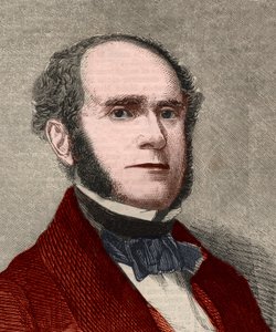 Portrait of Fitz-Greene Halleck, American poet. Engraving in 