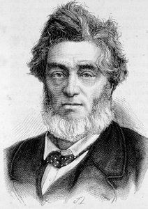 Portrait of Jules Favre by Unknown artist