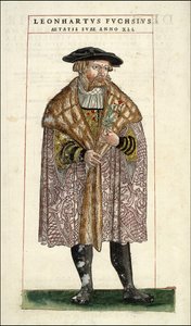 Portrait of Leonhart Fuchs: Botanist - German Doctor (1501 - 1566) - in 