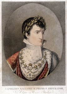 Portrait of Napoleon, Emperor