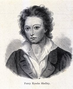 Portrait of Percy Bysshe Shelley, British Poet by Unknown artist