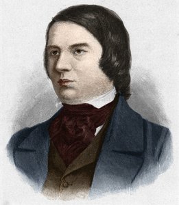 Portrait of Robert Schumann (1810-1856), German composer. Based on a drawing by Mengel. by Unknown artist
