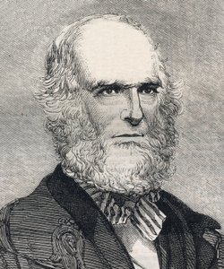Portrait of William Cullen Bryant, American poet. Engraving in 