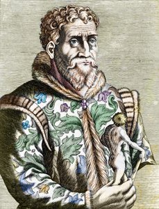 Portrait of the Italian painter Michelangelo Buonarroti known as Michelangelo