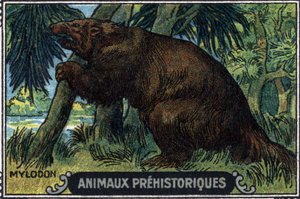 Prehistoric animal: a mylodon by Unknown Artist
