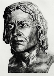 Prehistory: reconstruction of Cro-Magnon