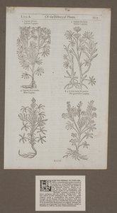 Printed page 1217 from 