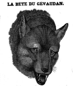 Representation of the Beast of Gévaudan by Unknown artist